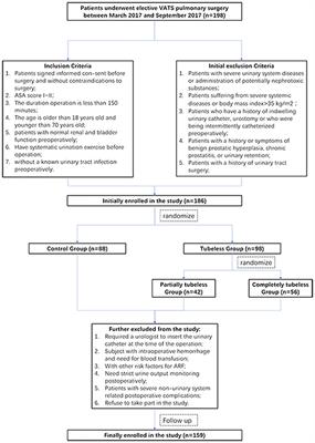 A Novel Tubeless Urinary Catheter Protocol Enhanced Recovery After Minimally Invasive Lung Surgery